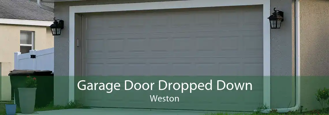 Garage Door Dropped Down Weston