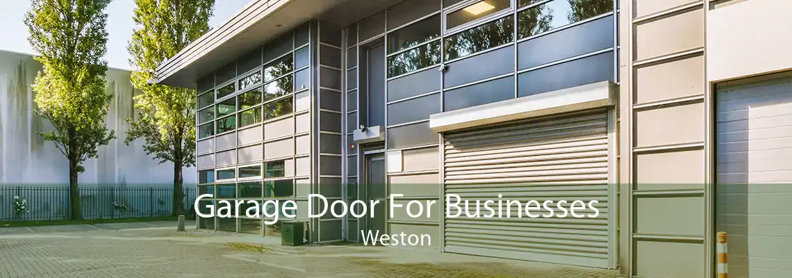 Garage Door For Businesses Weston