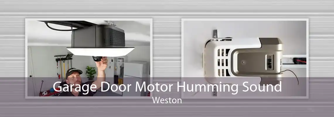 Garage Door Motor Humming Sound Weston