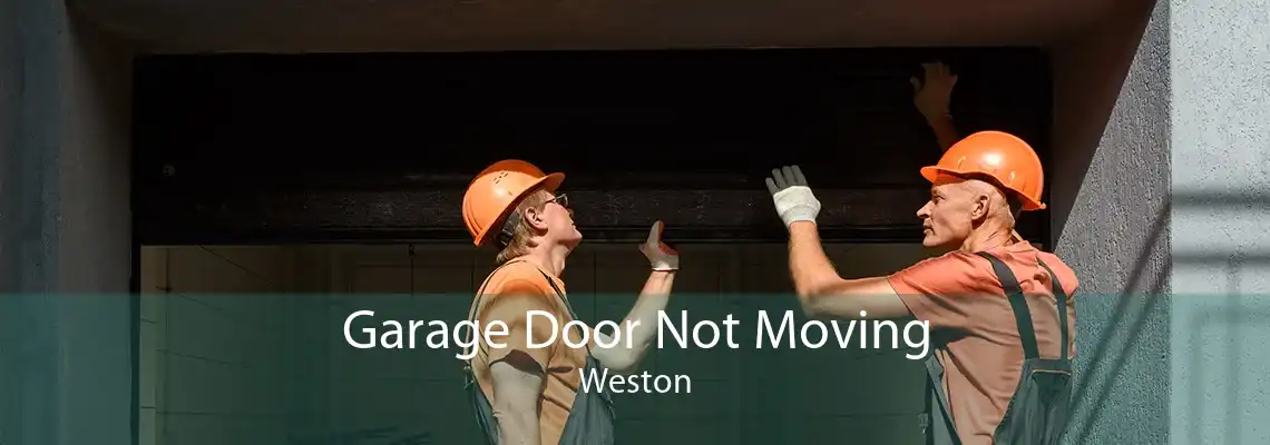 Garage Door Not Moving Weston