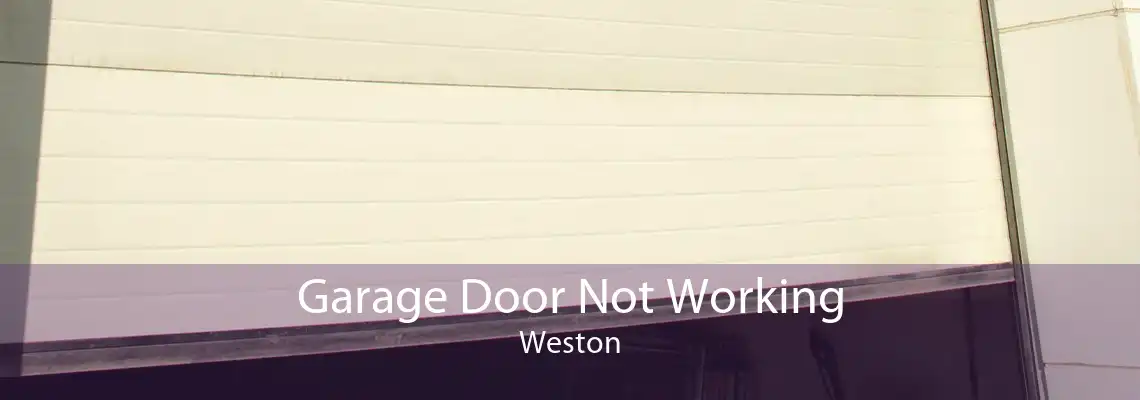 Garage Door Not Working Weston