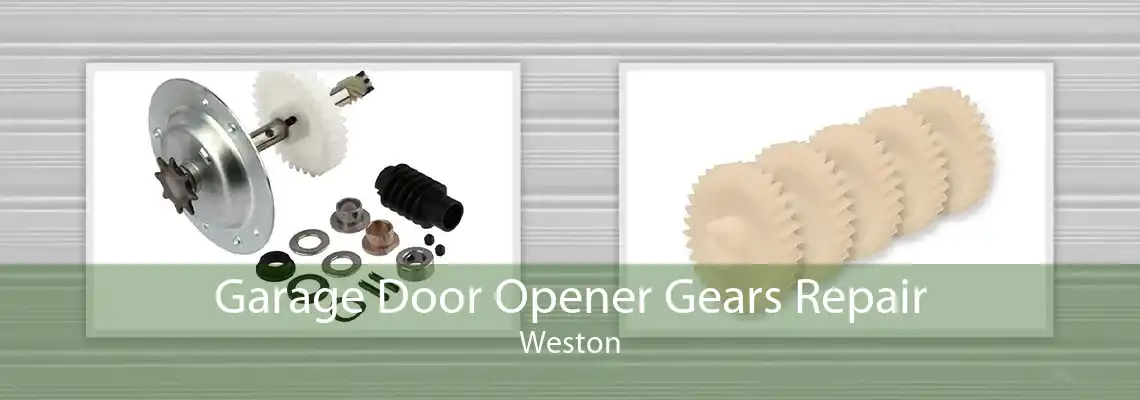 Garage Door Opener Gears Repair Weston