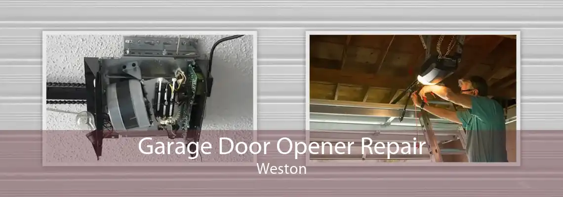 Garage Door Opener Repair Weston