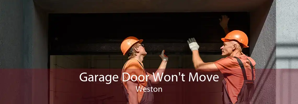 Garage Door Won't Move Weston